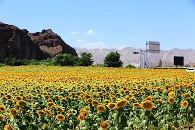 《GTA三部曲：终极版》发售日公布 数字版双11发售 